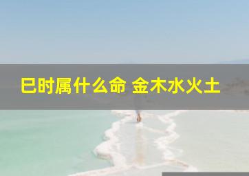 巳时属什么命 金木水火土